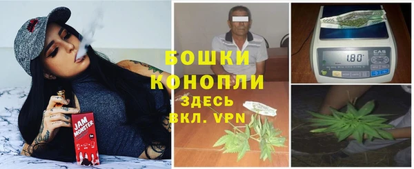 наркотики Бородино