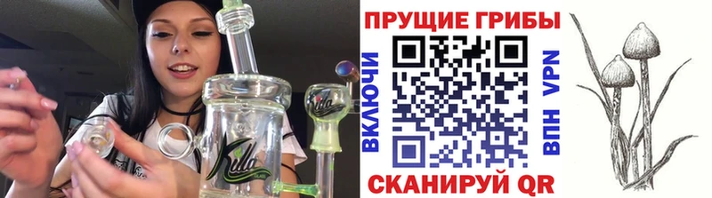 Псилоцибиновые грибы ЛСД  Сочи 
