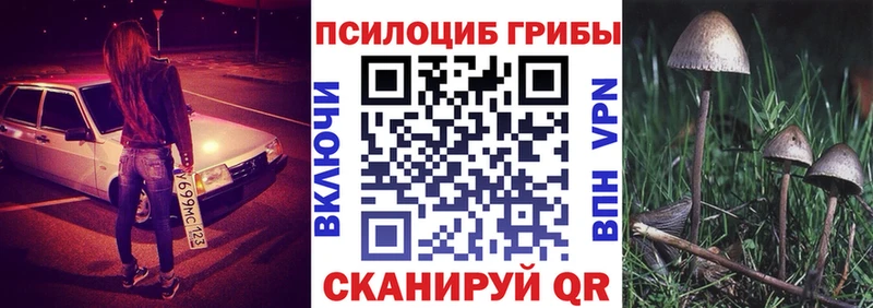 Псилоцибиновые грибы Psilocybine cubensis Сочи